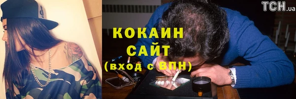 твердый Верхний Тагил