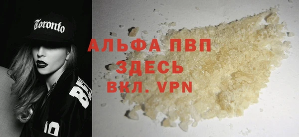 стаф Верея