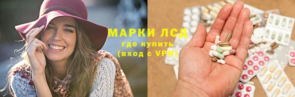 стаф Верея