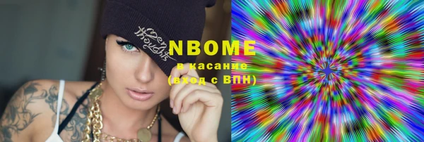 стаф Верея