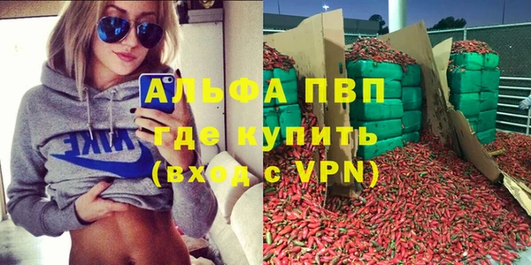 стаф Верея