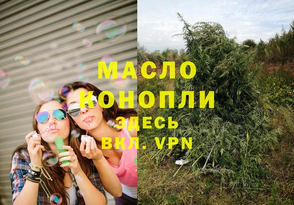 стаф Верея