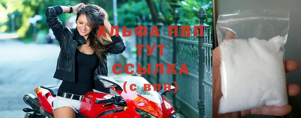 стаф Верея