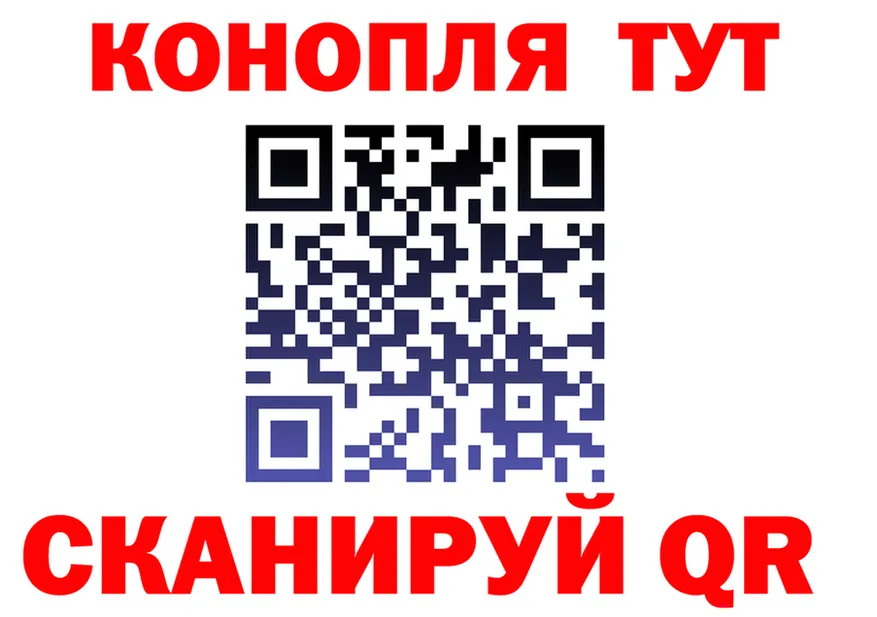 A-PVP СК КРИС вход shop OMG Вологда
